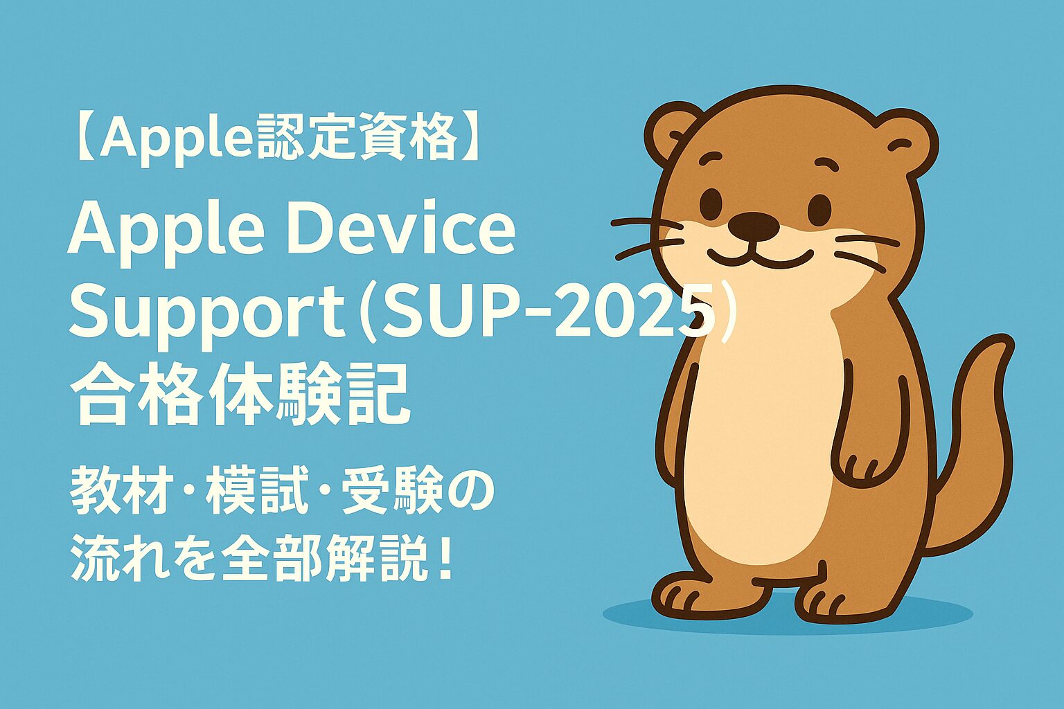 Apple Device Support